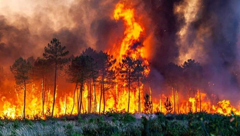 Irans brennende Lunge: Umweltkollaps und Politik