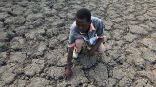 يك ميليون كودك آفريقايي در معرض قحطي شديد