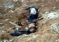 كشف گور دسته جمعي در زاهدان، تداوم کشتار مخفيانه زندانيان