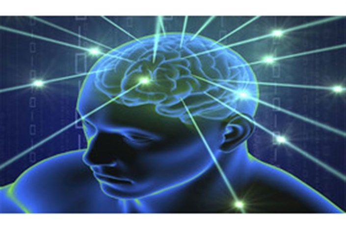 پردازش آموزش در مغز انسان