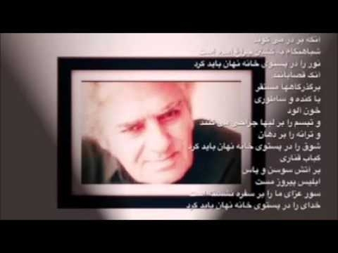 روزگار غريبي است نازنين