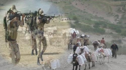 قربانيان شقاوت!