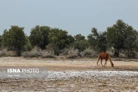 مرگ تالاب هاي ايران