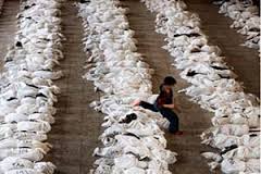 قاسم سليماني قاتل مردم عراق و سوريه و اشرفيهاست