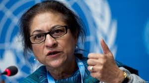 درگذشت عاصم جهانگیر گزارشگر ویژه حقوق بشر در امور ایران