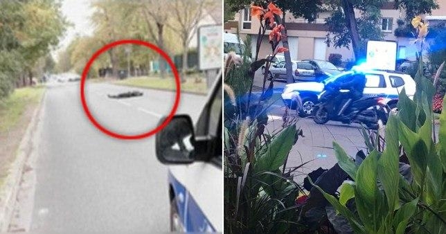 - دیگرکسی به خاطر معلمی نباید بمیرد ـ واکنش رسانه ها در مقابل سربریدن یک معلم فرانسوی