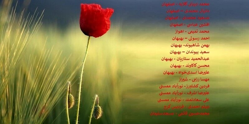 اسامی ۱۷ تن دیگر از شهیدان قیام آبان تا کنون اسامی ۸۲۸ تن از شهیدان قیام منتشر شده است