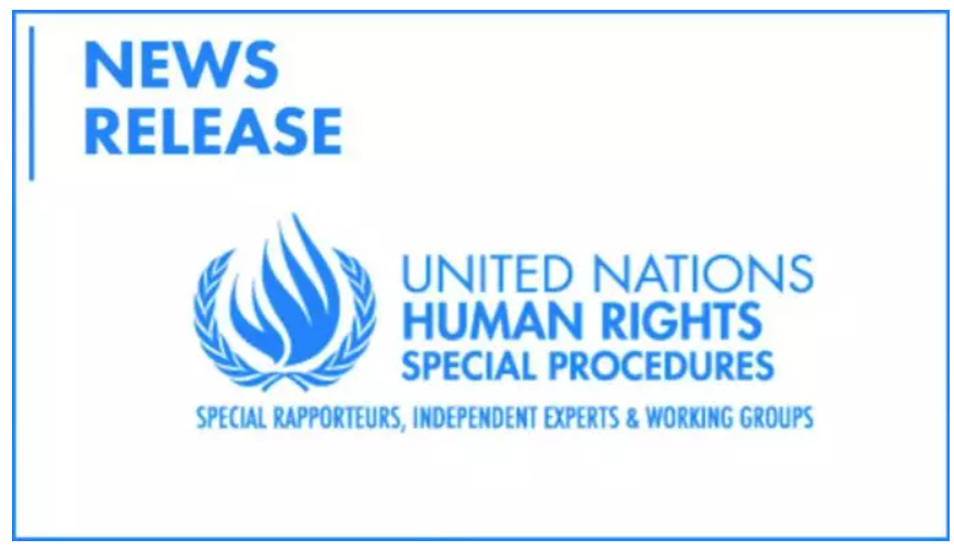 نامه چهار گزارشگر سازمان ملل در مورد دو زندانی هوادار مجاهدین حسن صادقی و فاطمه مثنی