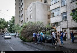 توفان با سرعت 85 كيلومتر در ساعت تهران و مناطق جنوبي را در نورديد