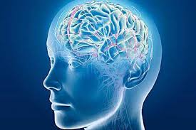 امید دستیابی به موفقیت در درمان قطعی بیماری اِم اِس