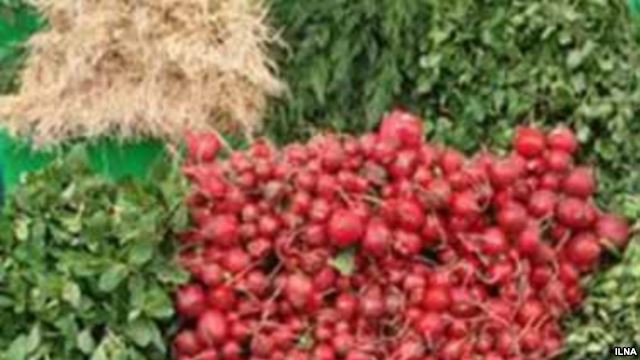 سبزی با طعم فاضلاب