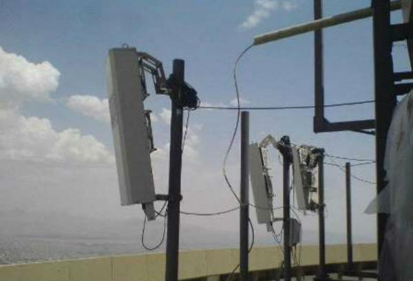 پارازیت‌اندازی و  سرطان‌زا بودن آن تایید شد