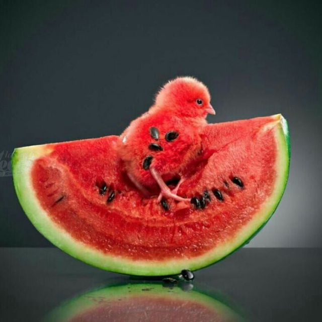 يلدا, شب پيروزي روشنايي بر تاريكي و اهريمن مبارك باد