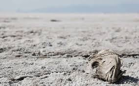 كاهش ۹۰ درصدي آب درياچه اروميه طي نيم قرن