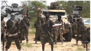 `قتل ۷۰ نفر` به دست بوكو حرام در شهر مرزي كامرون