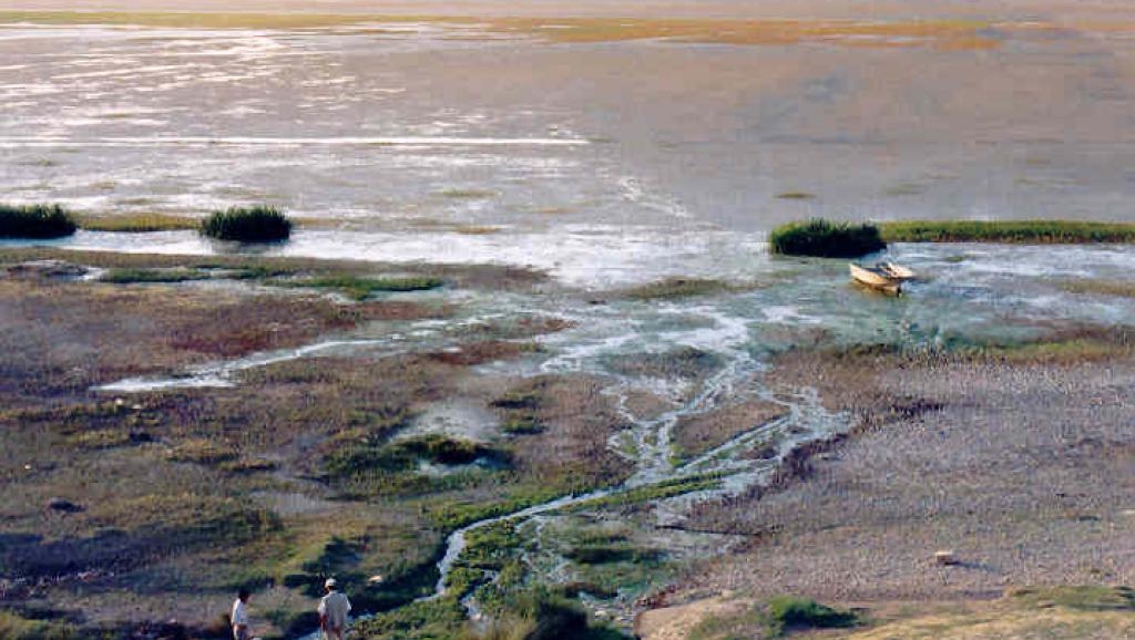٦۷ درصد تالاب‌های ایران در نتیجۀ عمدتاً سدسازی‌ها خشک شده‌اند