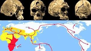 انسان از طريق مصر و نه شبه جزيره عرب، در جهان منتشر شد