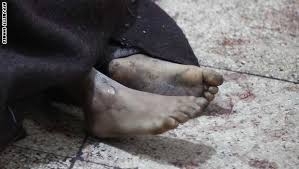 هلاكت  افسران  ارتش اسد در عمليات ويژه رزمندگان سوري